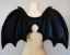 Picture of Vampire Bat Wings Prop