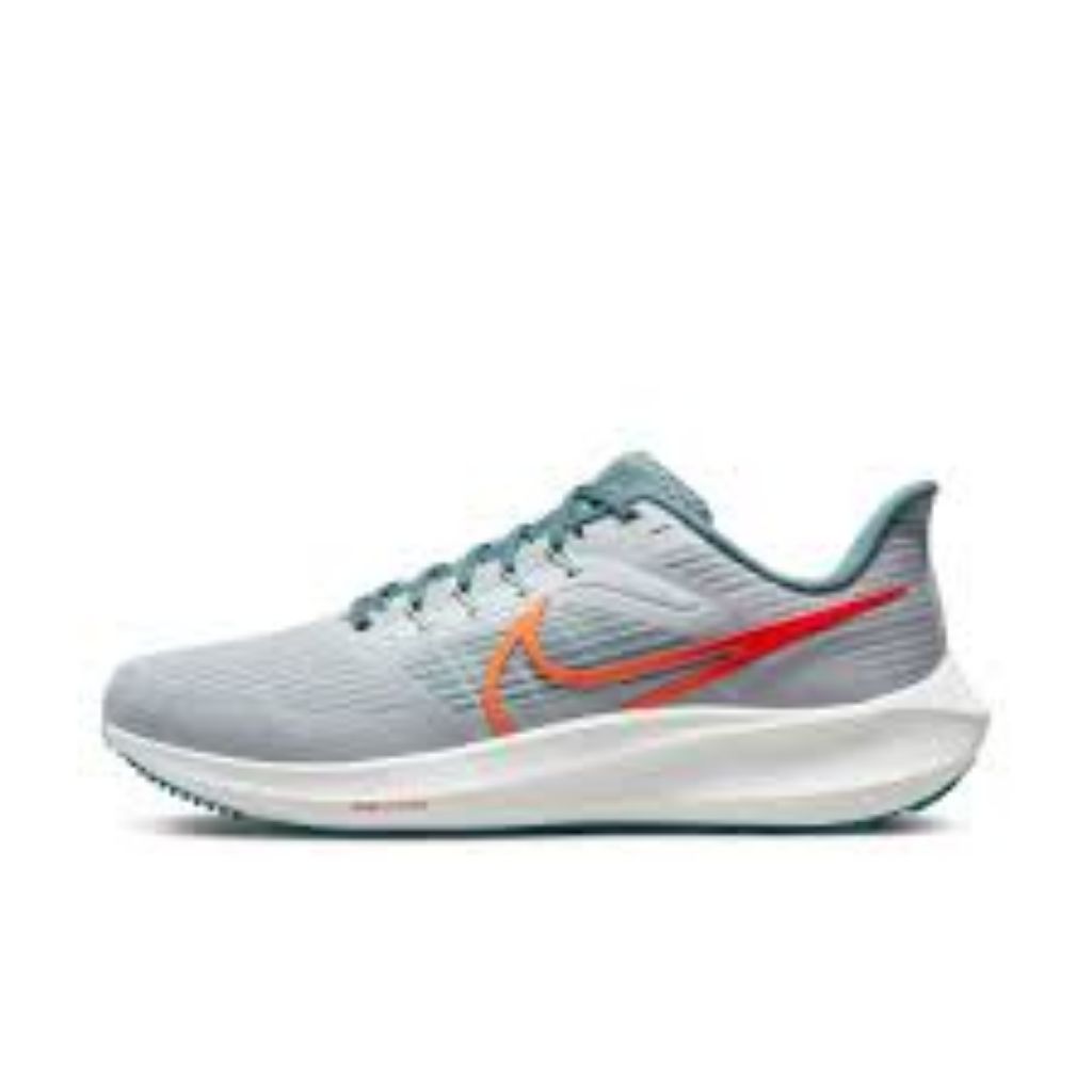 Picture of Nike Air Zoom Pegasus 39